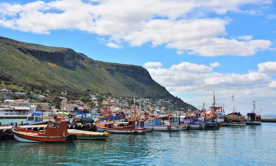 kalk-bay-cape-town Scenic view of colorful fishing boats docked along a vibrant harbor in a coastal town with houses nestled on a lush green hillside, under a partly cloudy sky.