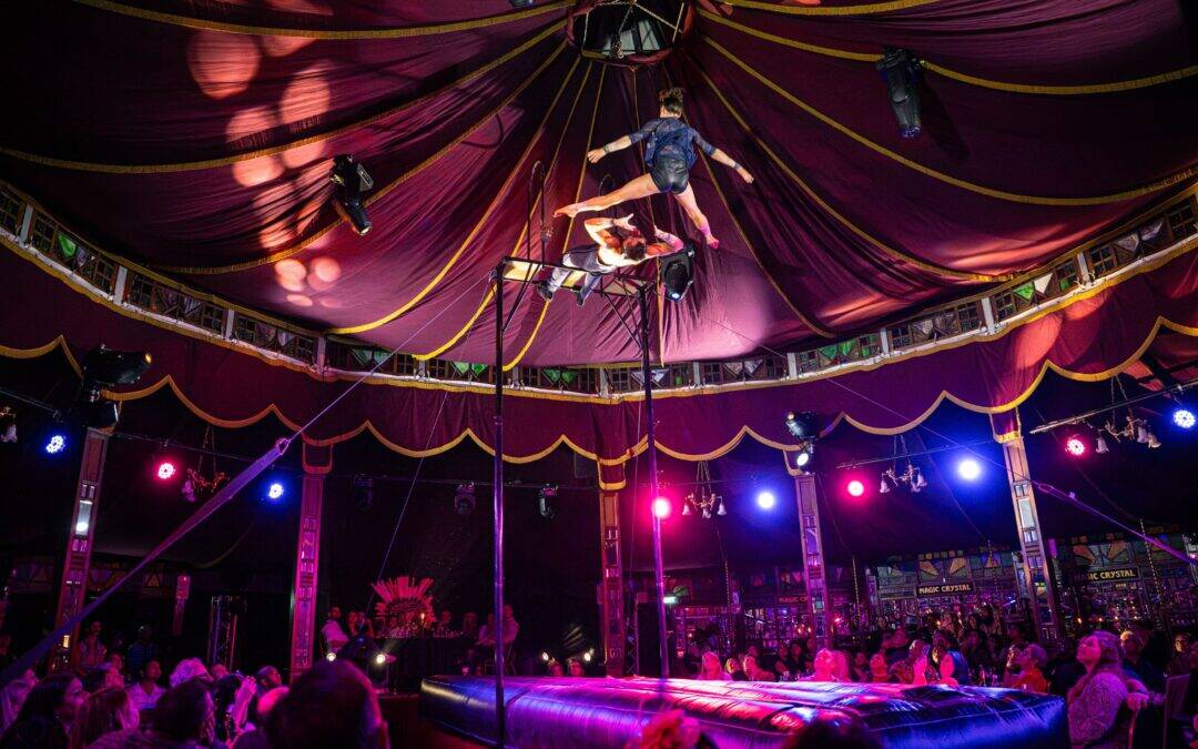 Zingara Cape Town: The Royal Countess Returns to Century City